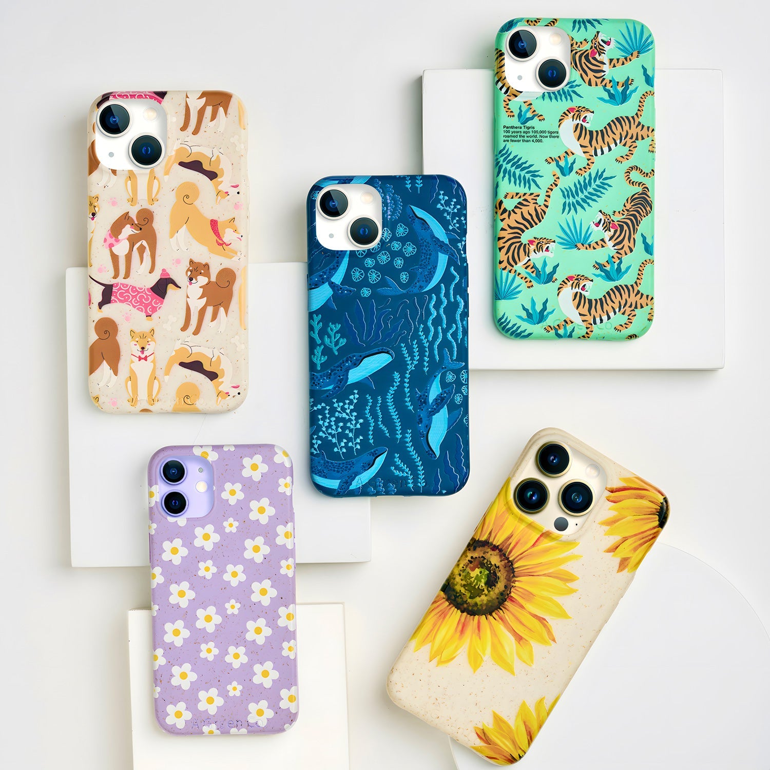 Colorful Prints